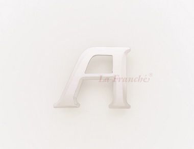 a stainless buckle